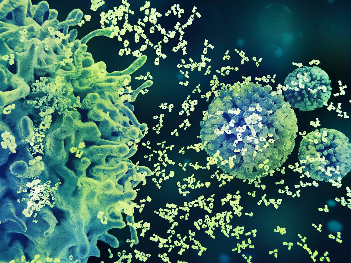 illustration of immune cells interacting with pathogens