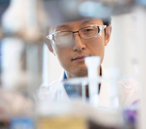 Scientist reviewing test tubes