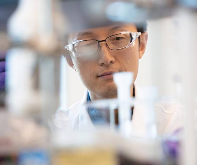 Scientist reviewing test tubes