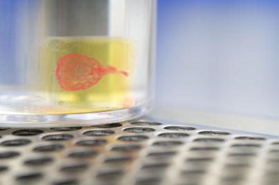 related content image #1