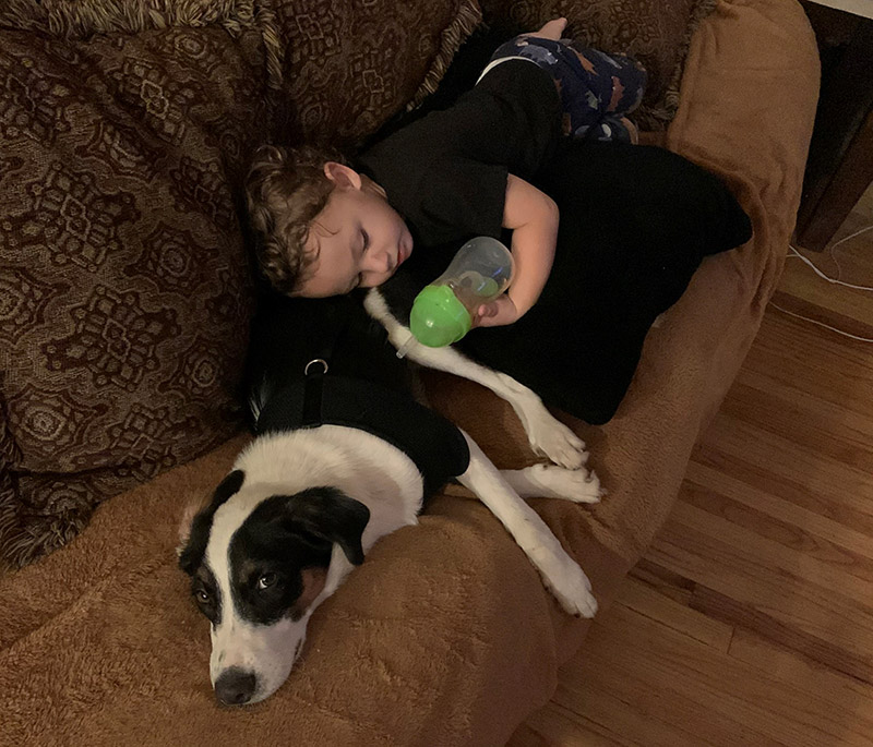 little boy laying with a dog