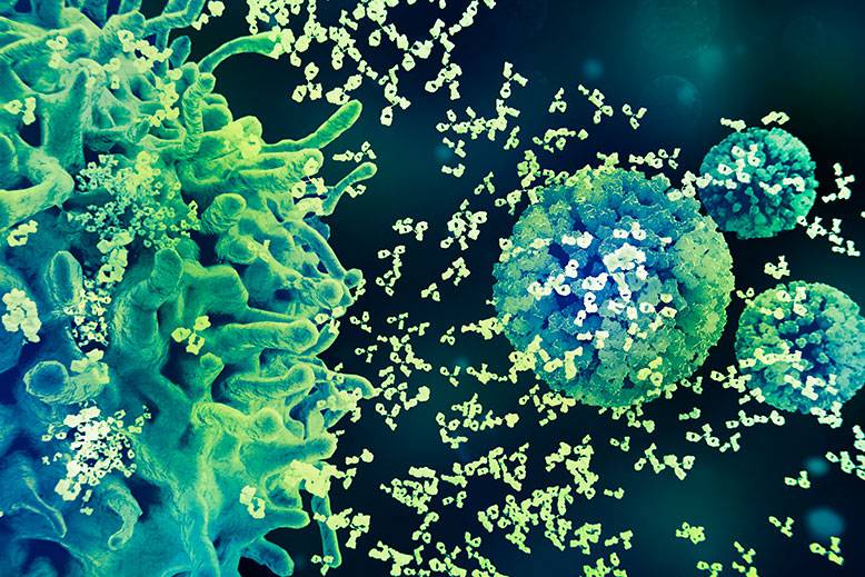 Science Visuals Vaccines Immune Response