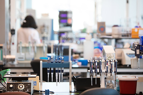 lab