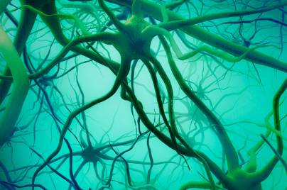 science visual neurodegenerative neural network