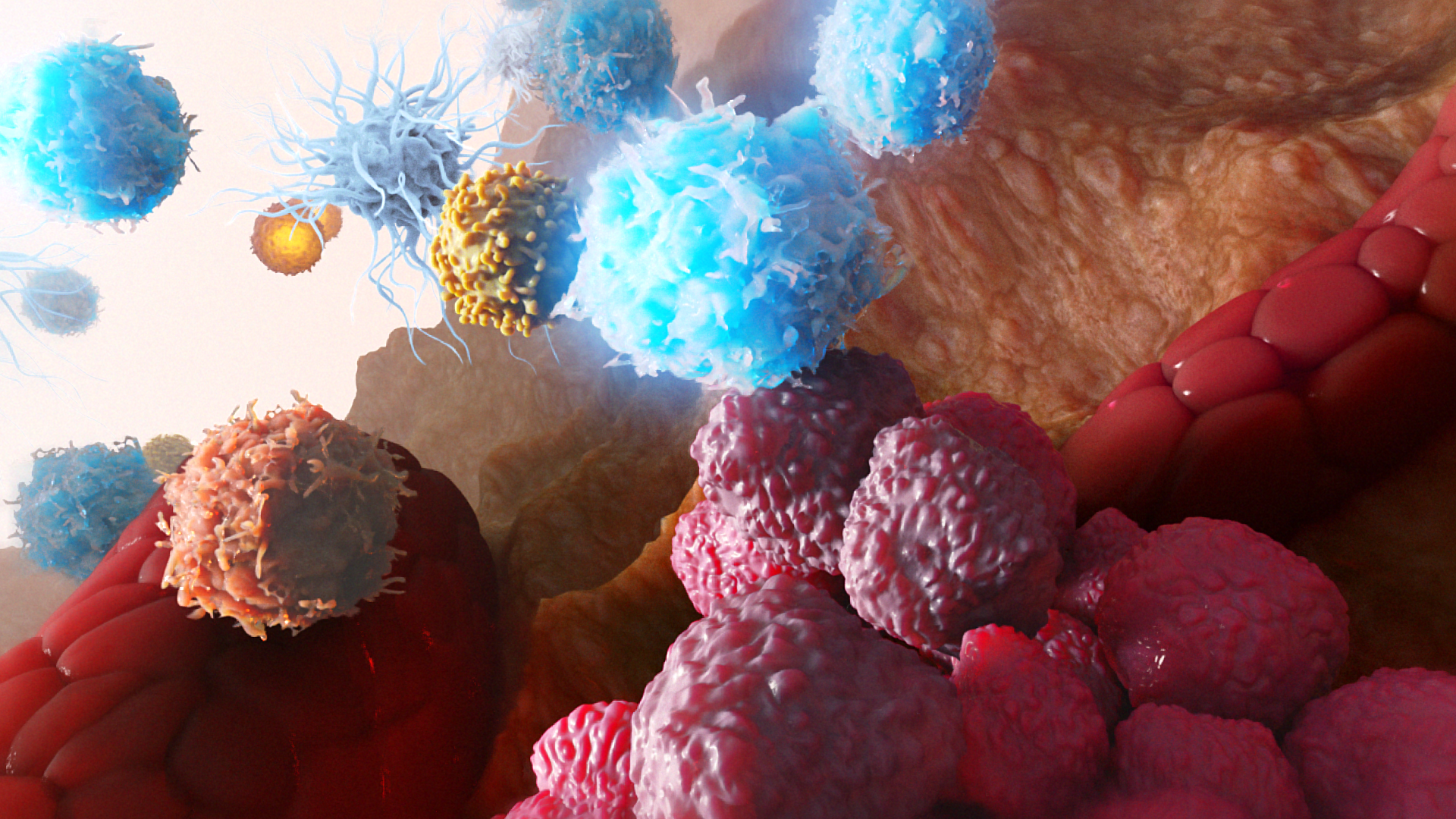 Image for Innovation