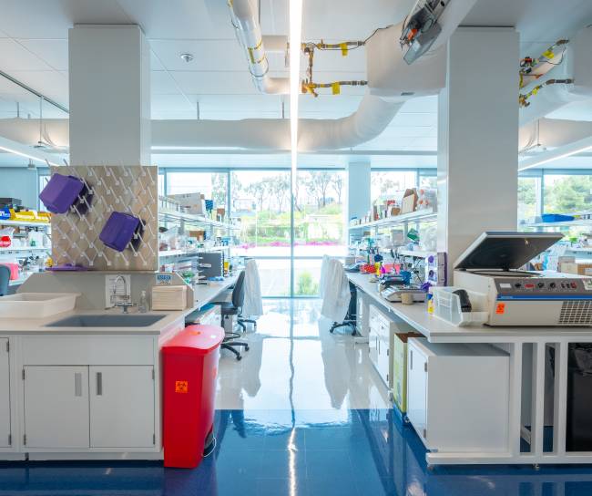 photo of a lab with two rows of work benches containing scientific equipment
