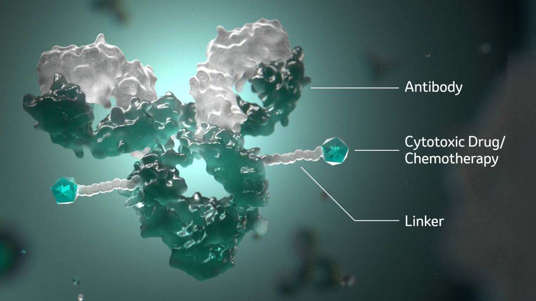 3D ADC illustration