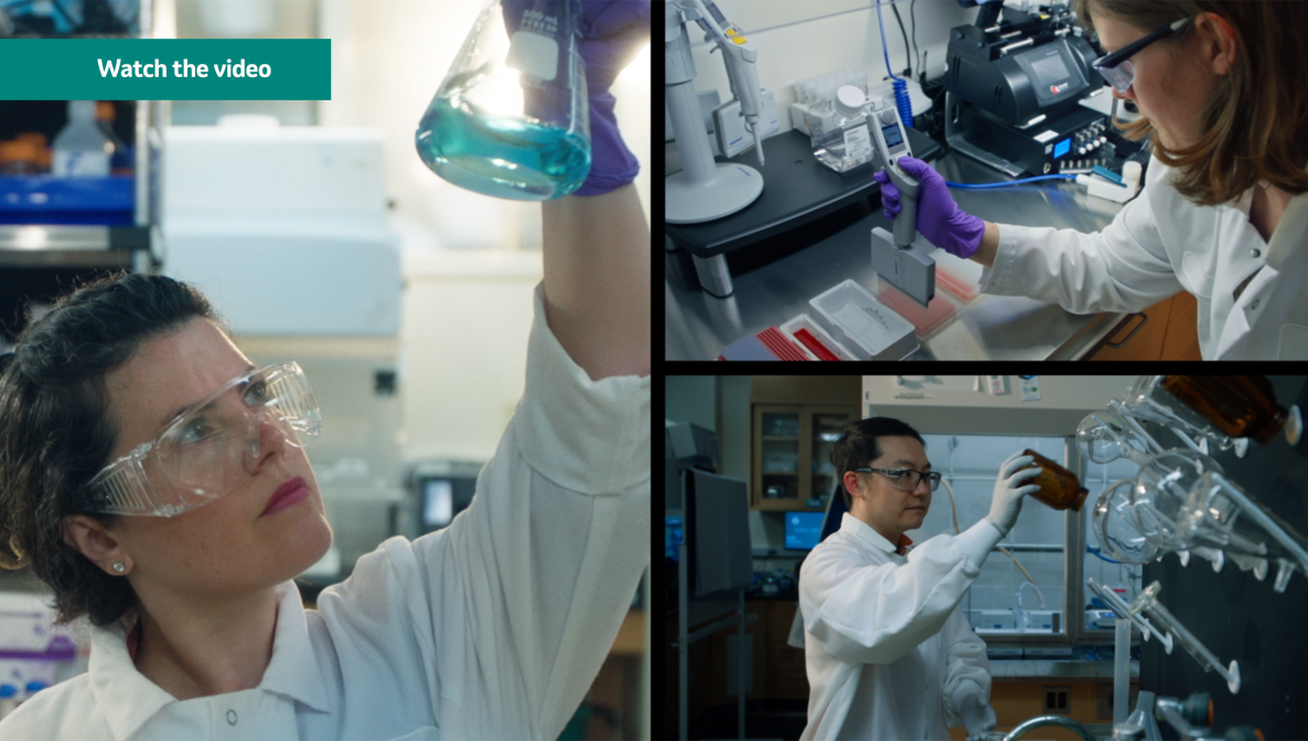 collage of photos of scientists working in labs