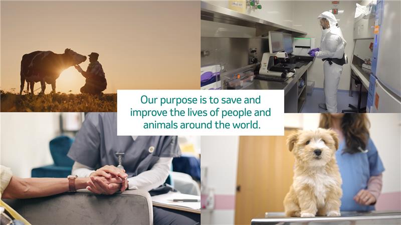 collage of photo with sentence in the middle reading "we use the power of leading-edge science to save and improve lives around the world."