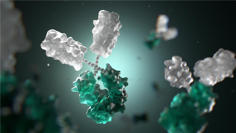 Fusion proteins