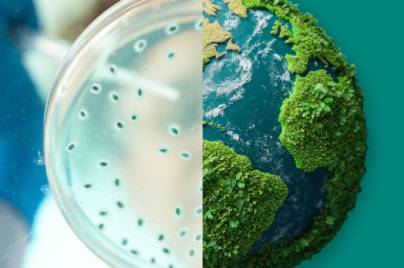 Image showing microbes in a lab dish on the left and earth on the right