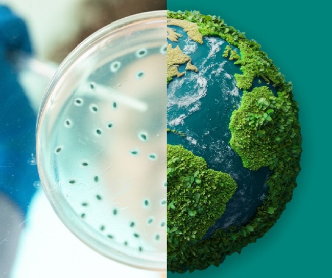 Image showing microbes in a lab dish on the left and earth on the right