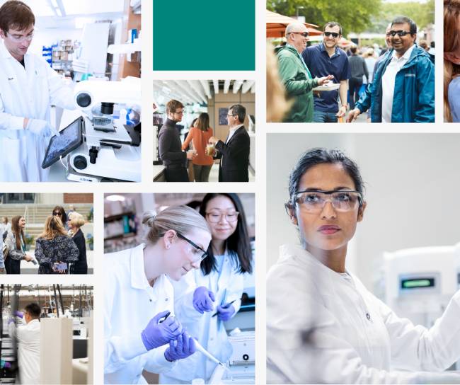 collage scientists and staff