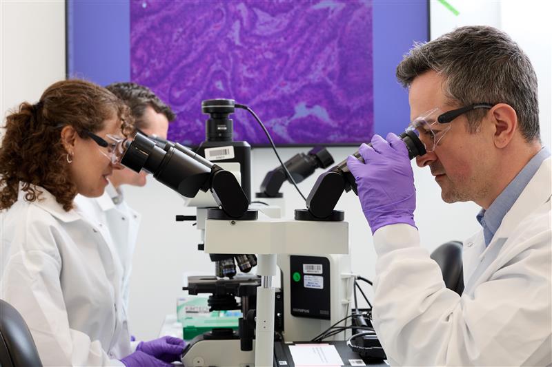 primary article image