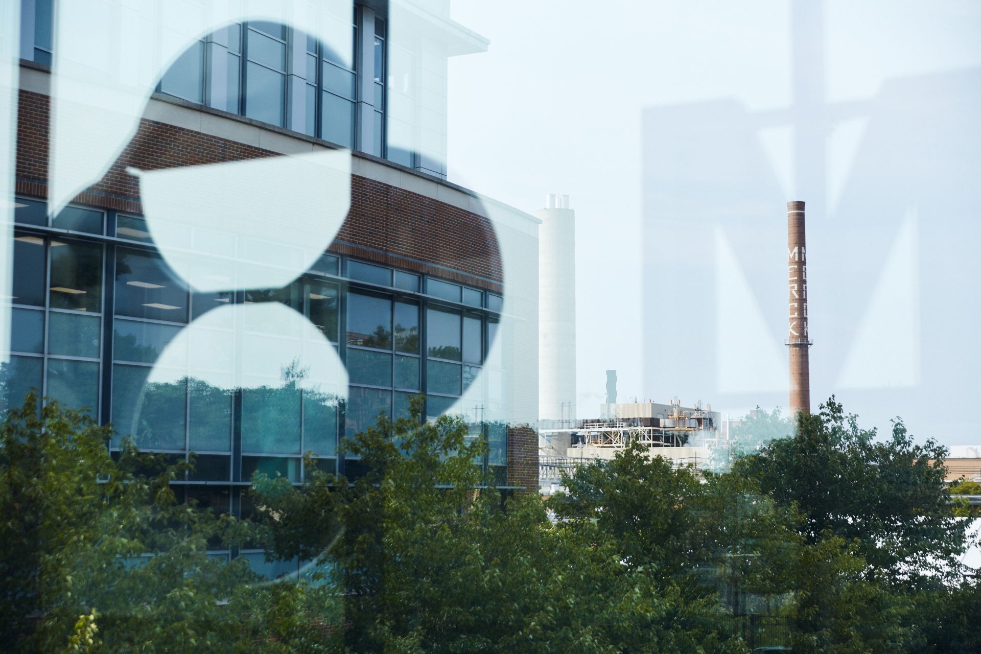 Merck logo through window