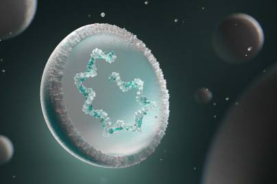 3D depiction of individualized neoantigen therapy