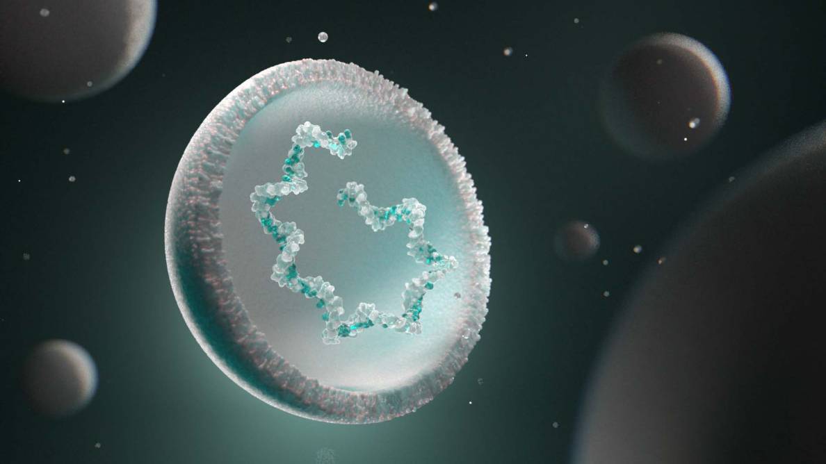 3D depiction of individualized neoantigen therapy