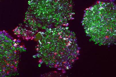 illustration of molecules