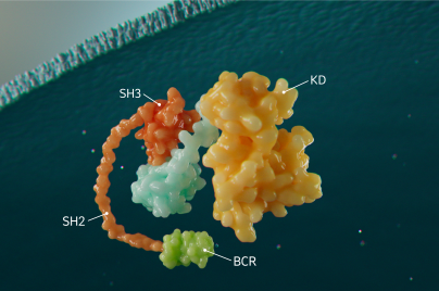 3-D depiction of BCR protein complex