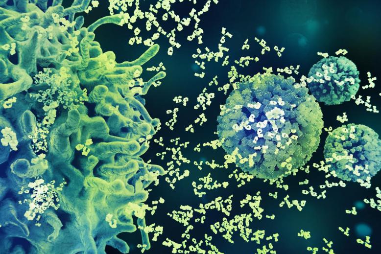 illustration of immune cells interacting with pathogens