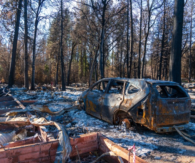 Burned car and trees -- California wildfire